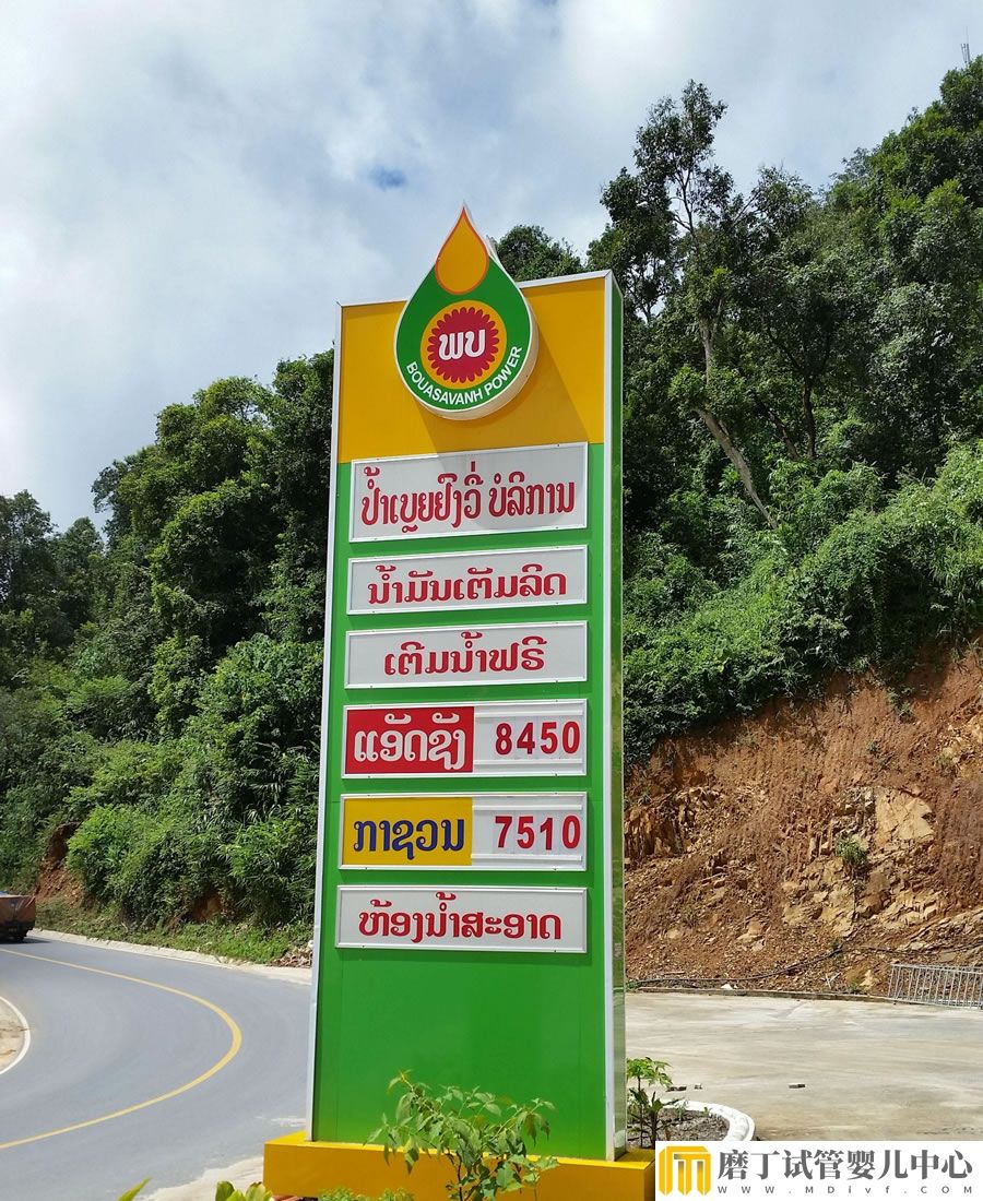 老挝磨丁加油站(图2)