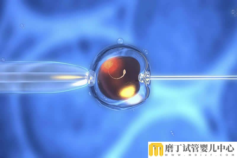 胚胎移植成功后三周测胎心，这些方法都可选(图1)