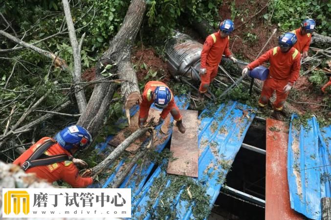 昆明市森林消防支队高效遂行中国老挝磨憨—磨丁经济合作区抢险救援任务(图8)