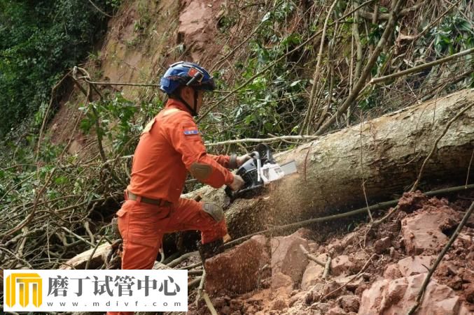 昆明市森林消防支队高效遂行中国老挝磨憨—磨丁经济合作区抢险救援任务(图13)