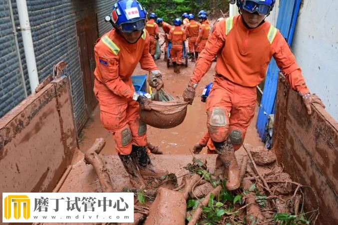 昆明市森林消防支队高效遂行中国老挝磨憨—磨丁经济合作区抢险救援任务(图15)