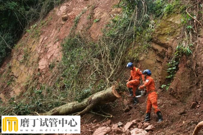 昆明市森林消防支队高效遂行中国老挝磨憨—磨丁经济合作区抢险救援任务(图17)