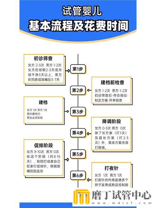 试管婴儿治疗的详细时间安排及流程表