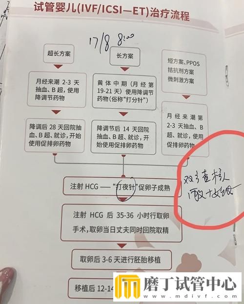试管婴儿治疗的详细时间安排及流程表(图2) 试管婴儿治疗的详细时间安排及流程表(图2)