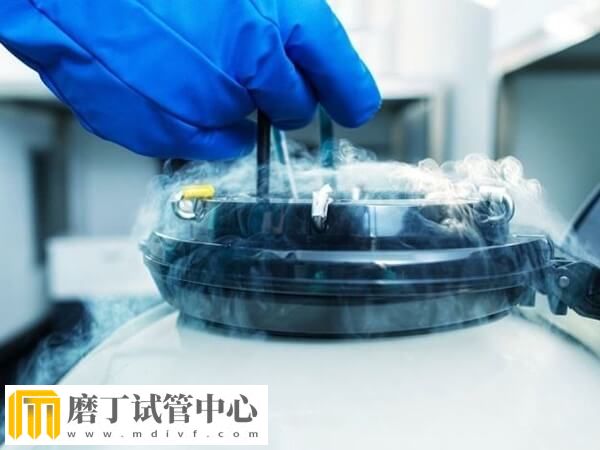 移植冻胚后为什么胃胀胃痛