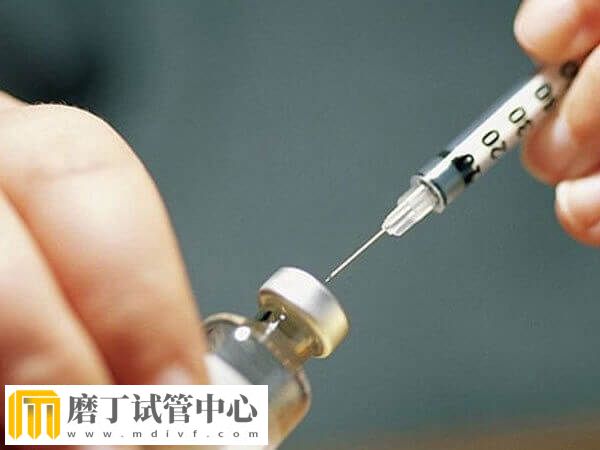 贺美琦在试管促排中的作用是什么(图2)