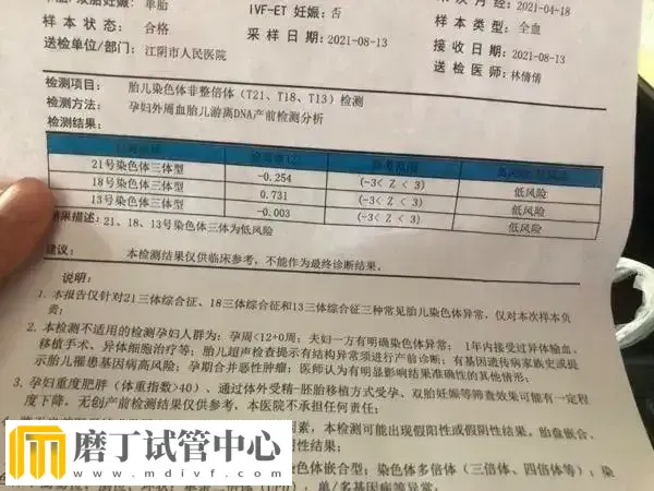 试管婴儿移植后胎停要做什么检查