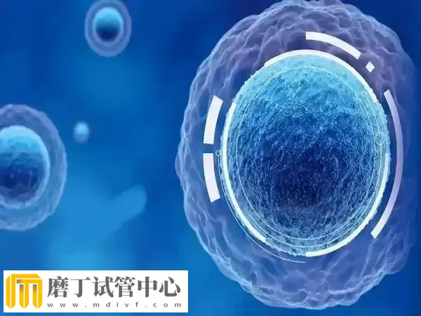 人工授精转试管婴儿还要补哪些检查