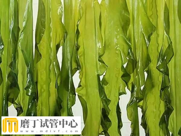 胚胎移植后吃海带对着床有没有影响(图1)