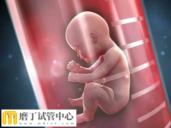 做三代试管有哪些痛苦(图1) 做三代试管有哪些痛苦(图1)