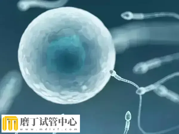 试管失败后是否需要进行ERT治疗(图1) 试管失败后是否需要进行ERT治疗(图1)