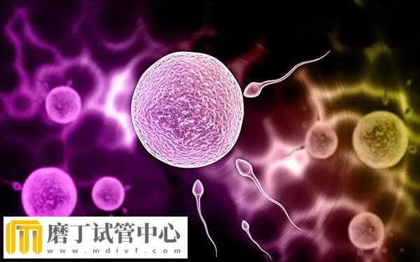 试管婴儿怎么能一次就成功(图1)