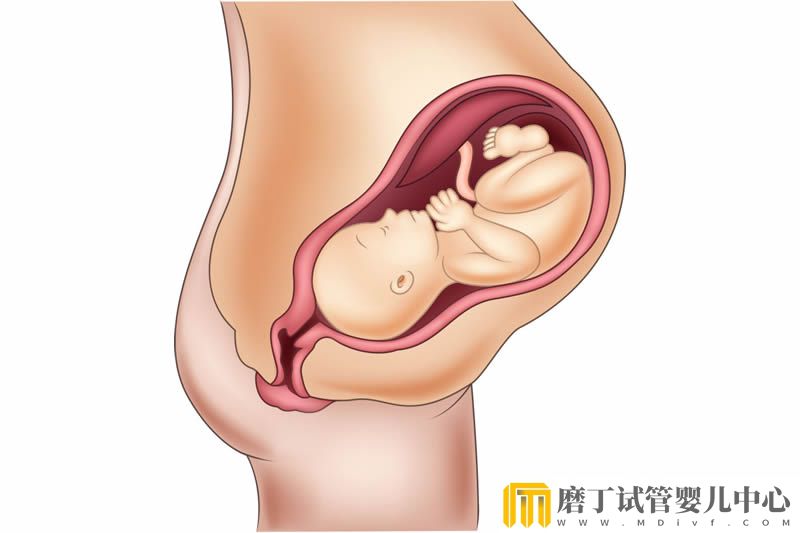 移植的时候有点腹水怀孕后还有会影响胎儿的生长发育吗？(图1)